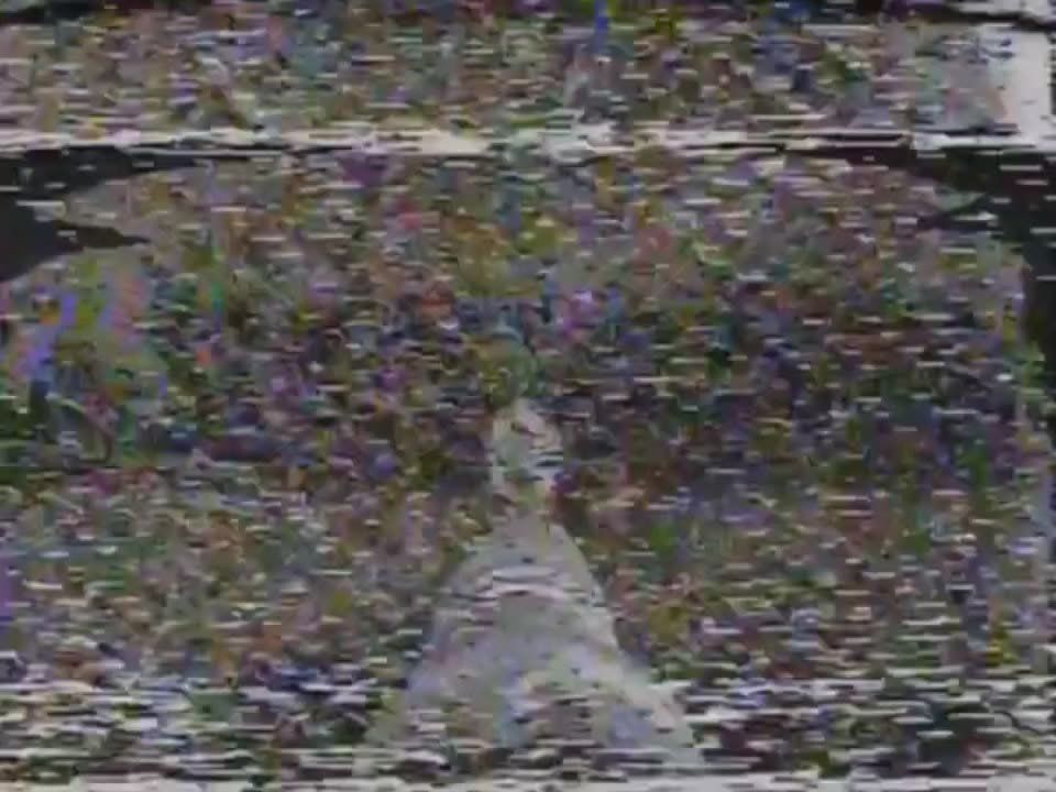  .       80    &quot;&quot;     