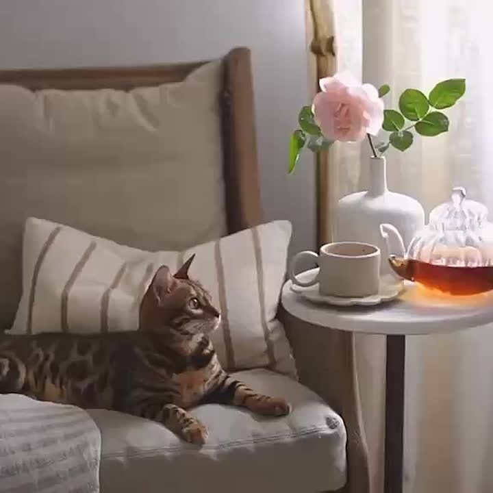..   ,  ,  !         .   ,      .       ,   .    , ...