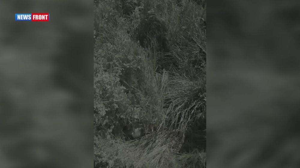   .        ,         
