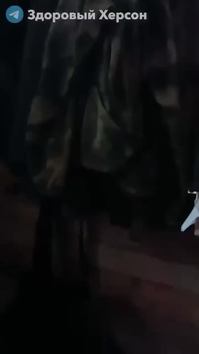     ,  ,           
