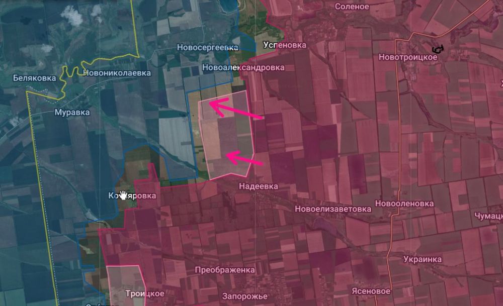 ��������, ��� �� �� ����������� ������������ �� ���������� ����������� � ������� ���������������� �������