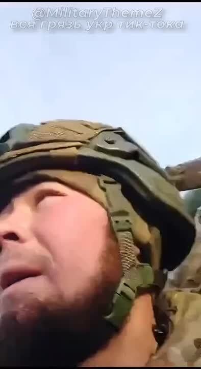       .       ,     