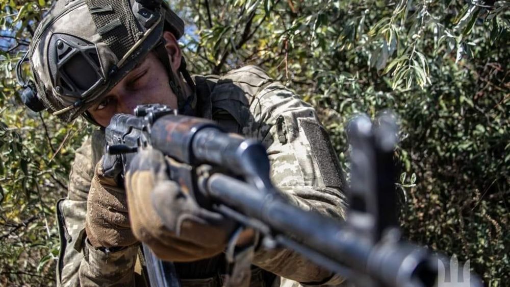 "������� ������ � �����������": ��������� ��������, ����� ������� ��������� ������� ������������