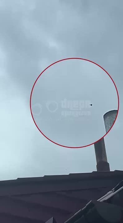 Как летят Гераньки по своим делам публикуют местные паблики