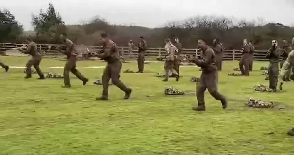     :  ,             