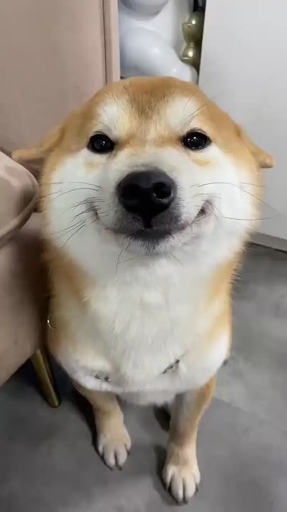 .     ,   !