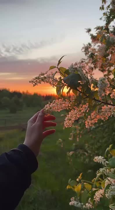     . ,   -   