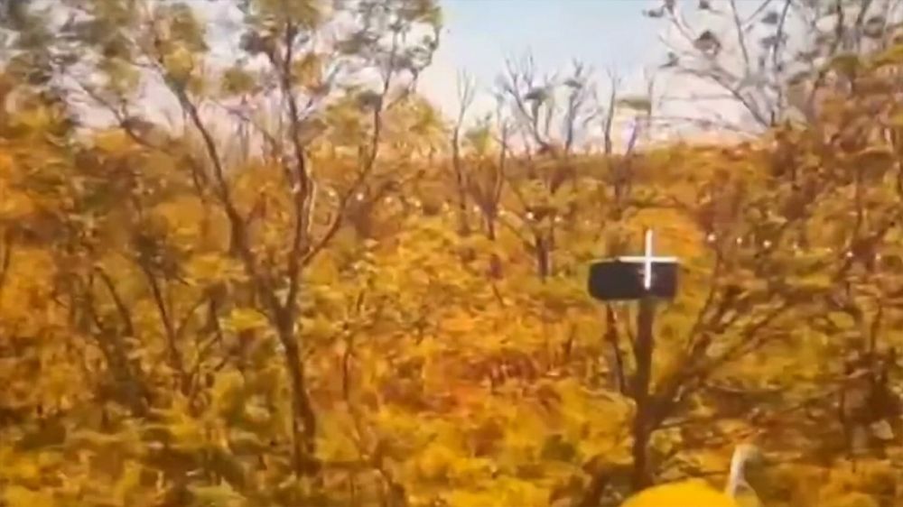 ���� ����������� ����� ��� ������� ���� �� �������������� ���