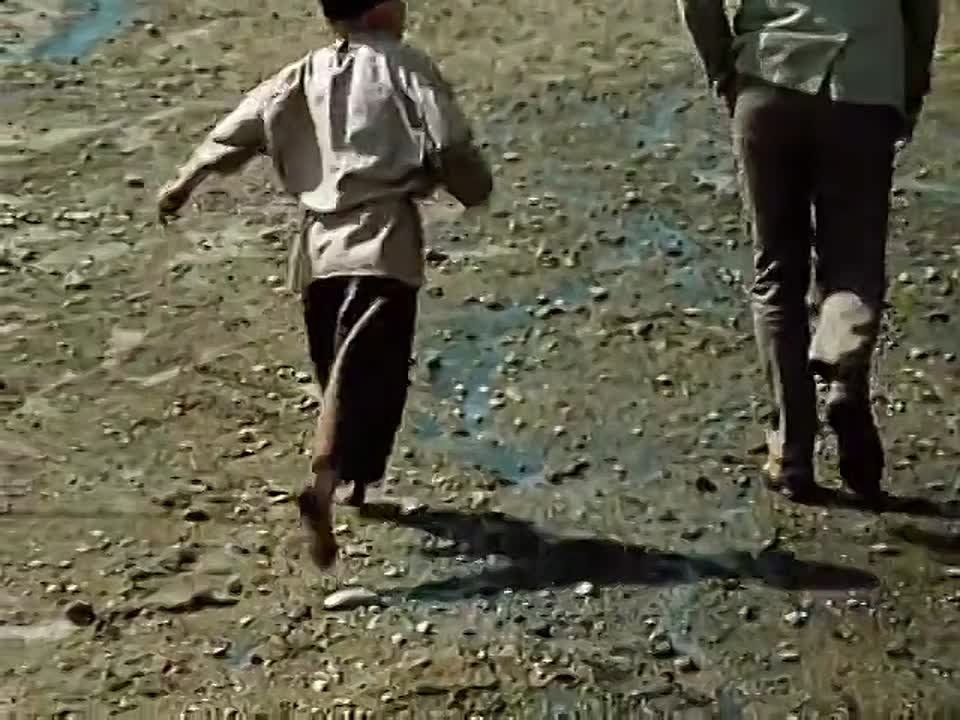 ������ ������ ������ �������� �������� ����� ������ ��� �� ���������� ���