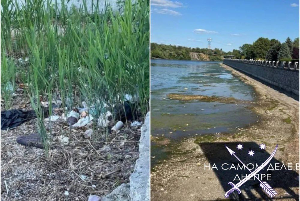 Река Днепр в районе Фестивального причала обмелела, берег в мусоре