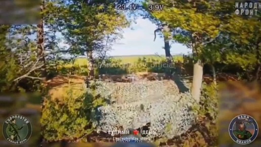     FPV- &quot;&quot;    21 &quot;&quot;