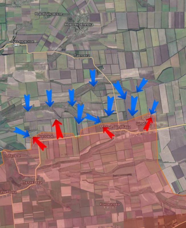  ..                    ,      .  ...