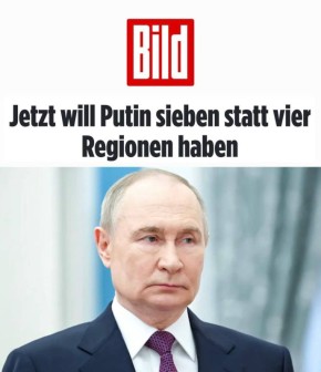     ,   :   Bild - , ,      