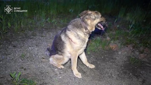  :           :