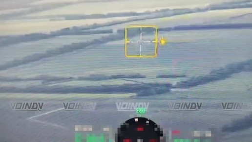     11-        &quot;&quot;        . .   ,  Telegram- &quot; DV&quot;