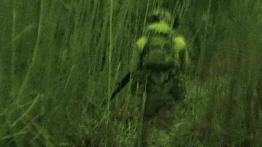  /,  