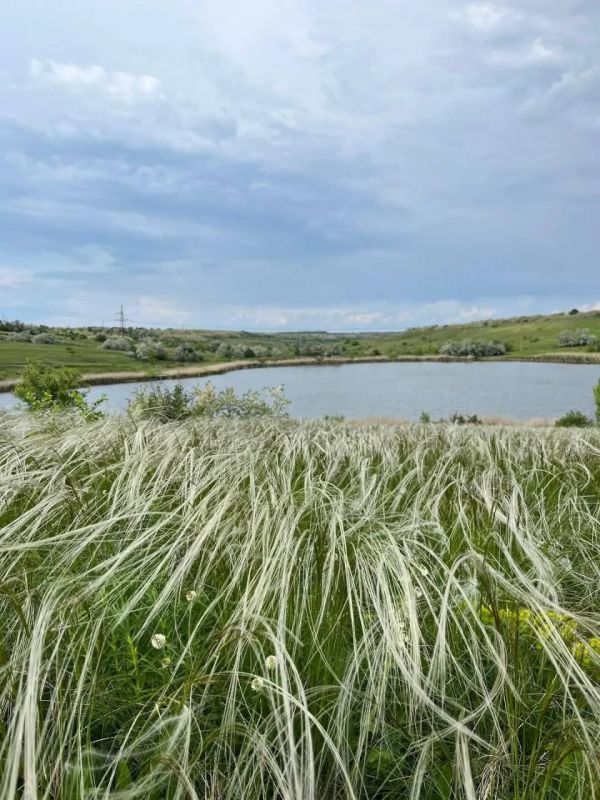 рубрика: Природа и погода