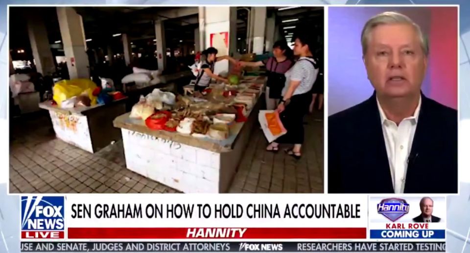 ������� ������ ���� - "���� � ������, � ���� ������"