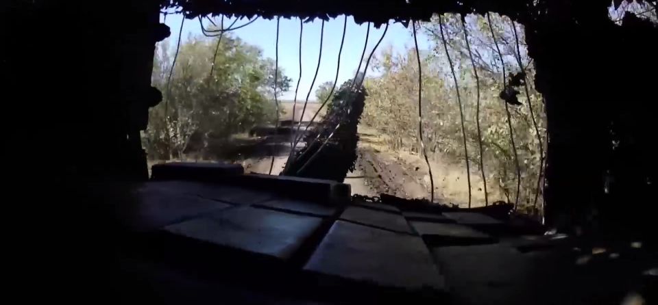 The Times ������� ������ ��� ������� ����� �� �� � ���������������� �������