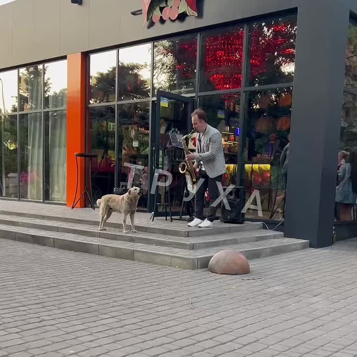 Сегодня милый дуэт выступает возле Пьяной Вишни в Кривом Роге