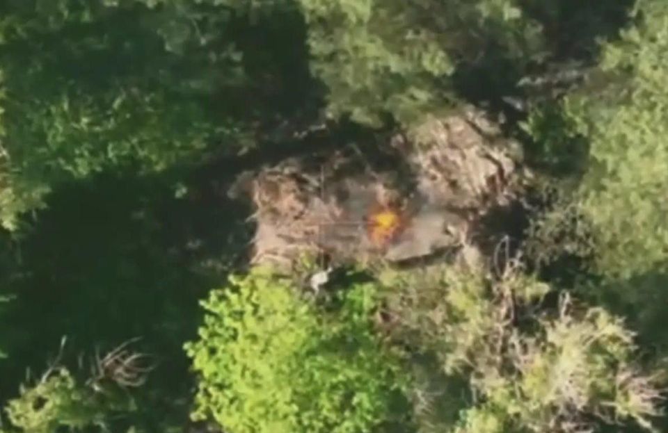 1    &quot;&quot;      ,      