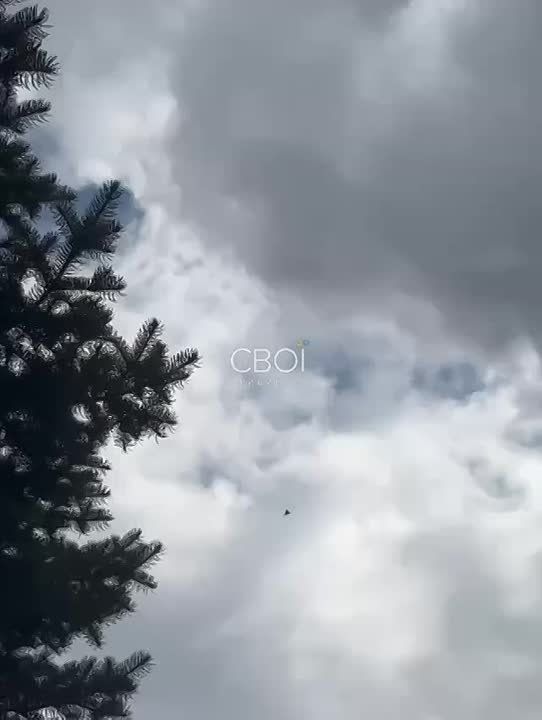  :      ,       
