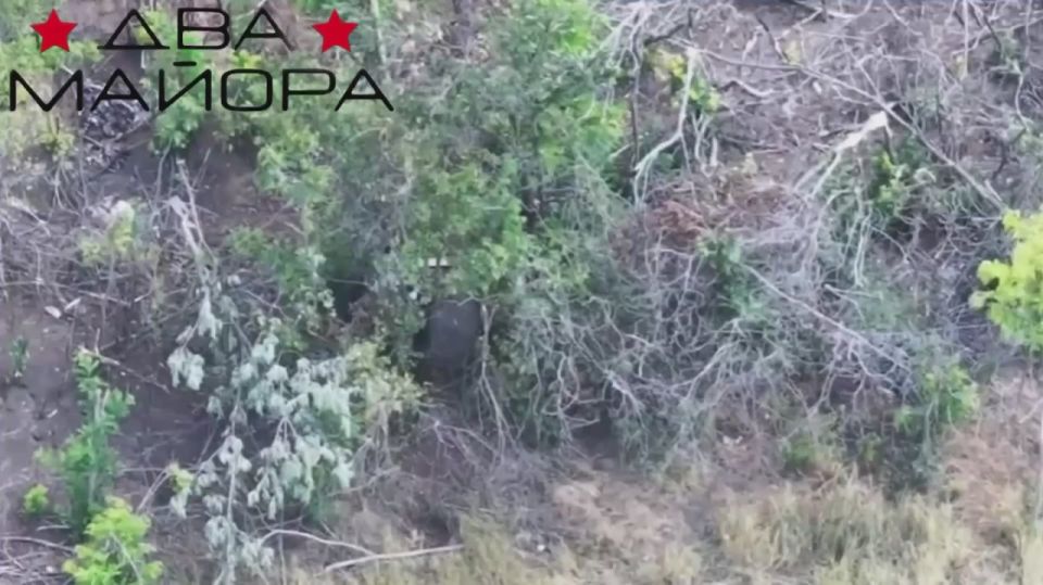 Два майора: Запорожский фронт. Операторы дронов 4 военной базы Армии России прошлись по позициям 118 бригады ВСУ в районе нп.Орехов Операторы: Финик, Леший, Мастер