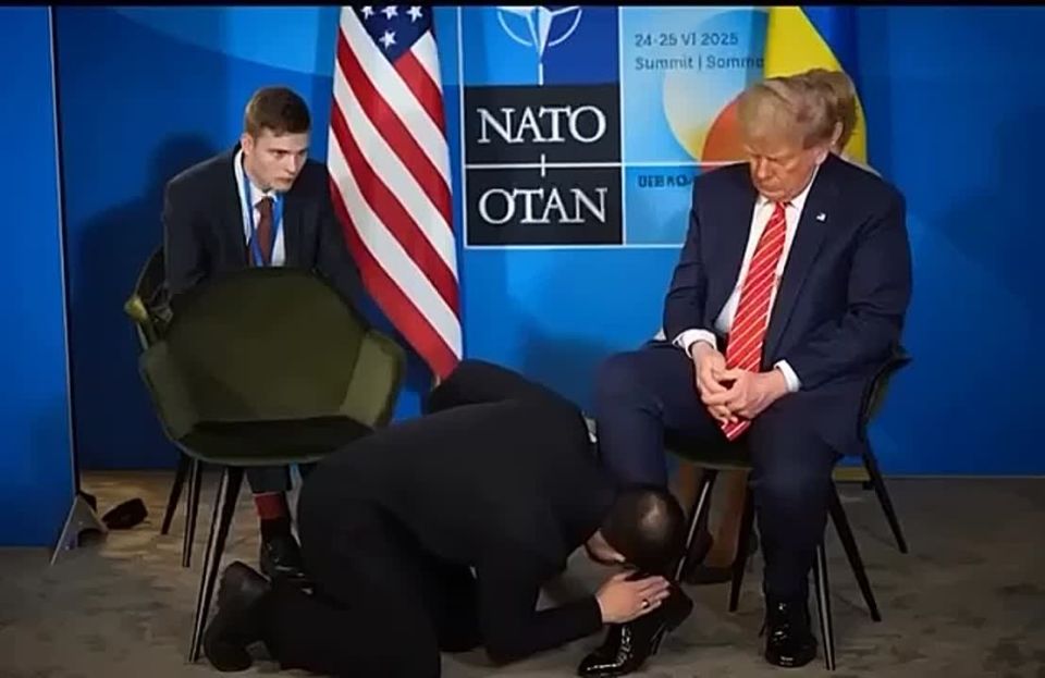       .  ,      .  ,     ,   