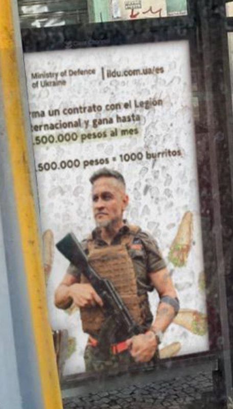      ,     3000$  ,     1000 