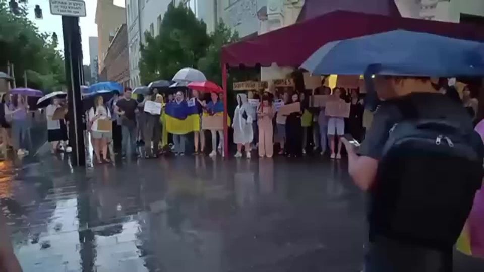     :                 
