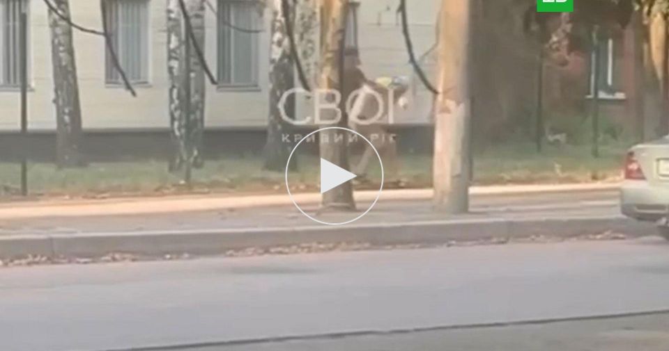 На Украине завели дело после избиения военкомом отца мобилизованного