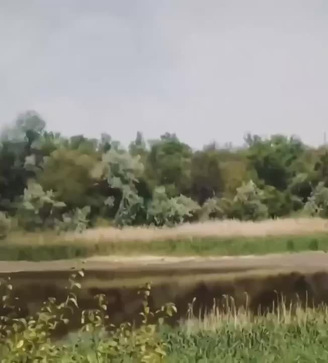   -    ,     