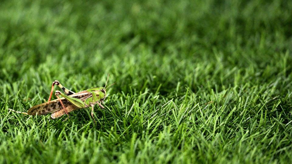 ������� �� �������: ���������� ������ ��������������� ���������� ����� �� ����������