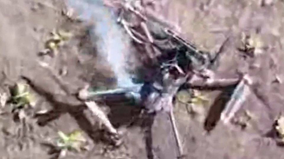 ����� �� �� ���������� ���� � ������������ ��� � ���������������� �������