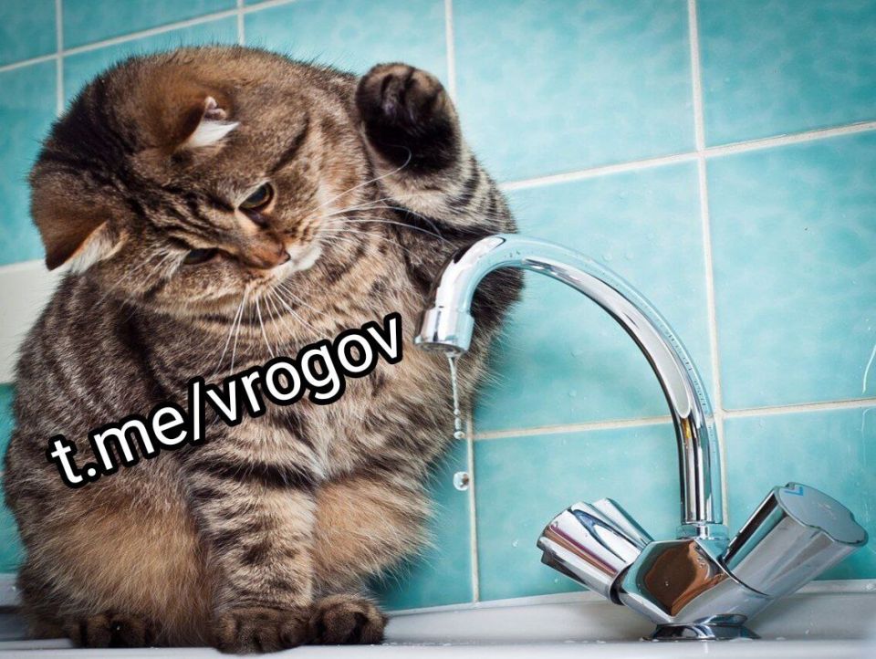 �� ���������� ������ ����. ������������� �������������� � ������������ ����������� ������� � ����������� ��������� �������