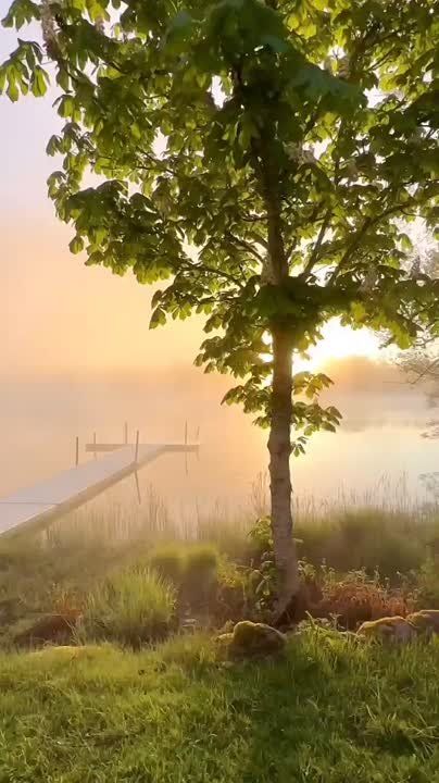 &quot;    