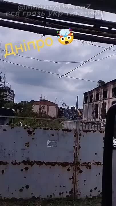 .      -̻        24 