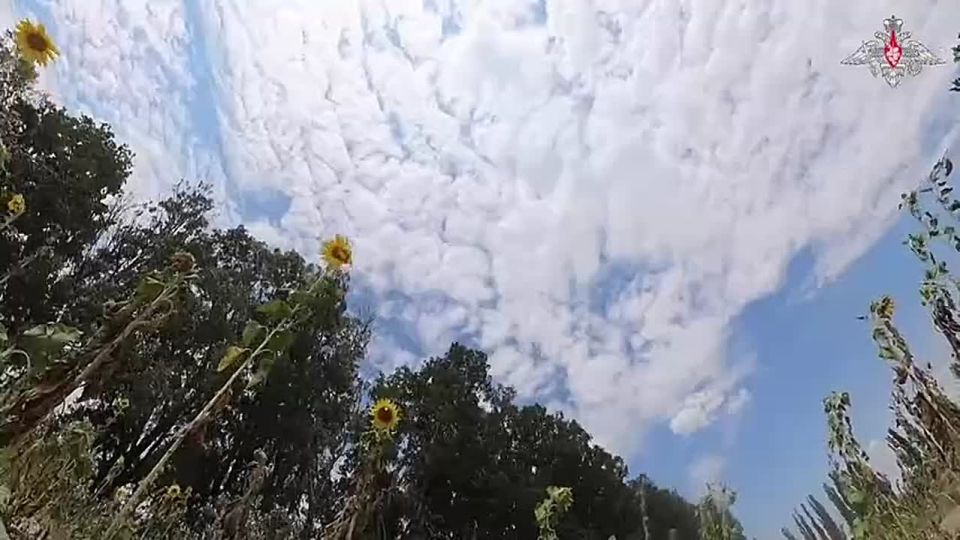  :          