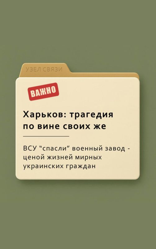      :     ,   