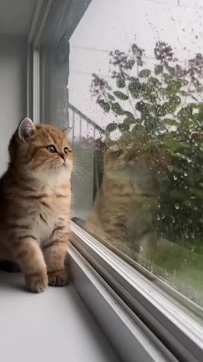 &quot;              .&quot;...&quot;