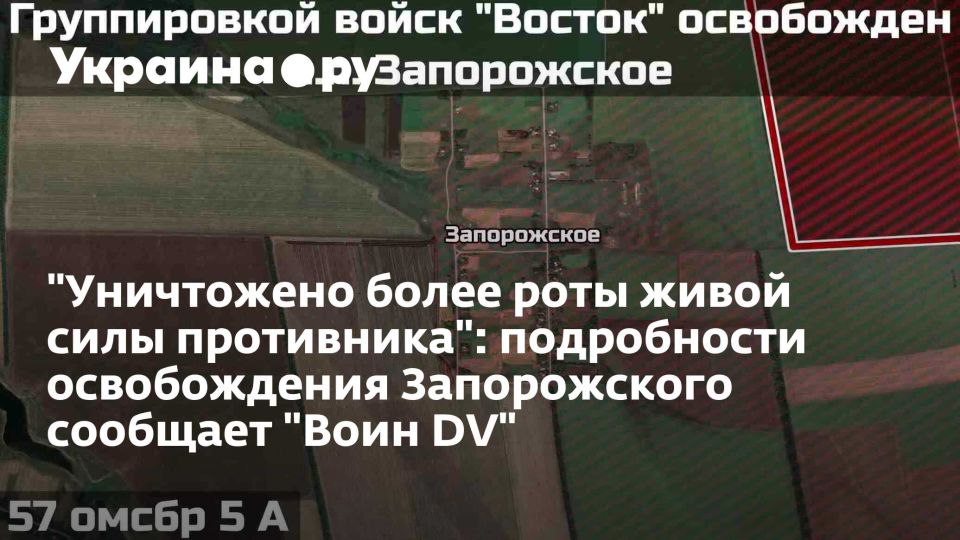 &quot;     &quot;:     &quot; DV&quot;