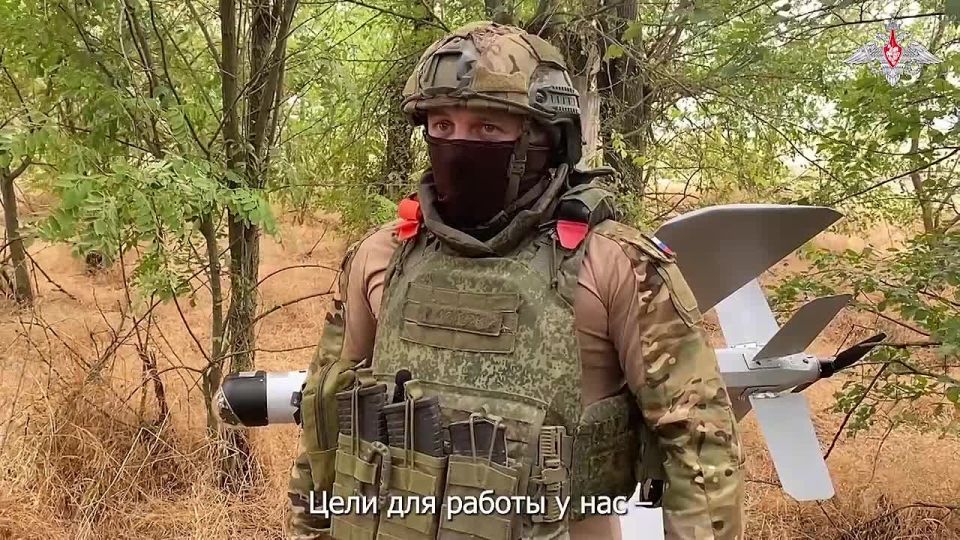  :              ZALA         