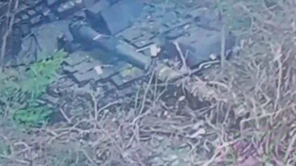 ��������� ���������� ���� �������� � ���������������� �������