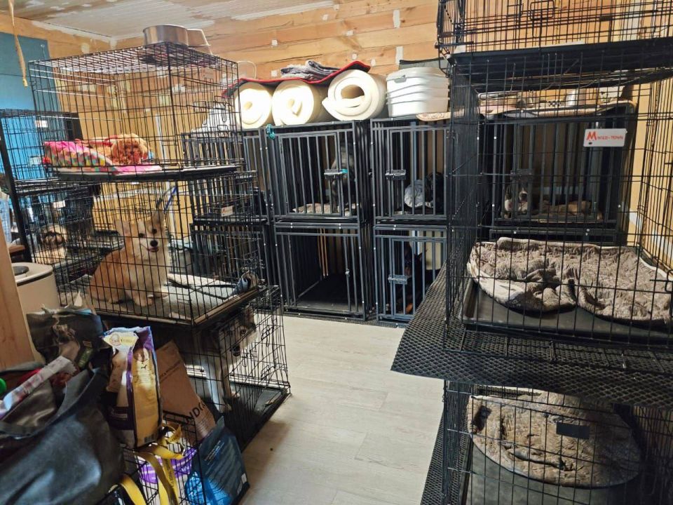 ������� ������������ ���������� ��� ����� ������������ �� �������� ��������� � ���������