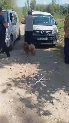  ,   ?. 