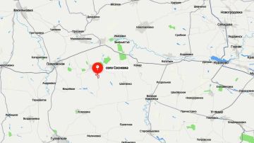 Наступление вдоль Вороной: военкоры посчитали потери ВСУ при отражении контратак под Сосновкой