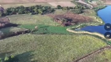 Андрей Руденко: Военнослужащие группировки войск «Восток» рассказали подробности освобождения населенного пункта Новогеоргиевка в Днепропетровской области