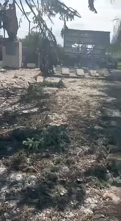 Очередная кровавая провокация со стороны Зеленой власти