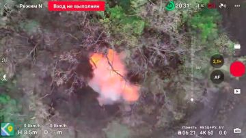 Операторы БПЛА уничтожили миномет и автомобиль с боеприпасами ВСУ в зоне СВО