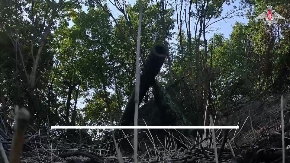 Минобороны России: В Херсонской области разведка с помощью БПЛА обнаружила артиллерийское орудие противника, замаскированное в лесополосе на правом берегу Днепра